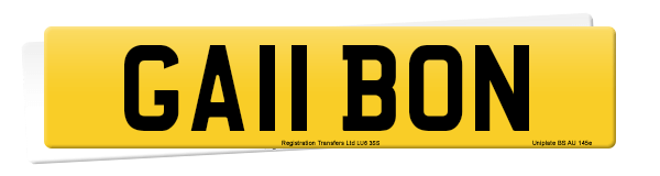 Registration number GA11 BON